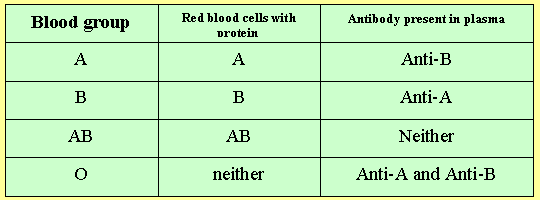 Exercise for 2025 ab blood type